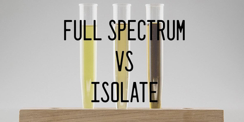 {Fróðleiksmoli} Isolate eða Full-Spectrum olía, hver er munurinn?